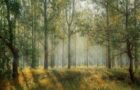 green-1072828_1280